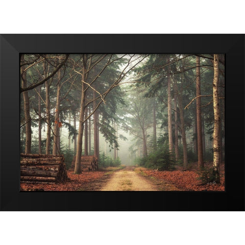 Harvesting Time Black Modern Wood Framed Art Print by Podt, Martin
