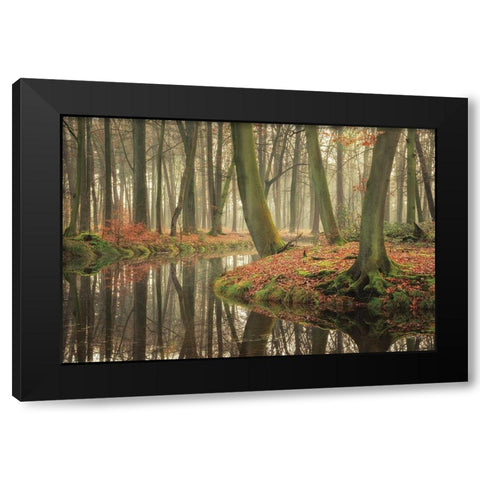 Rising Hope Black Modern Wood Framed Art Print with Double Matting by Podt, Martin