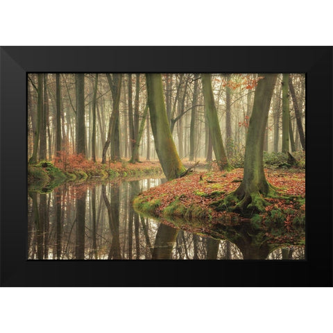 Rising Hope Black Modern Wood Framed Art Print by Podt, Martin