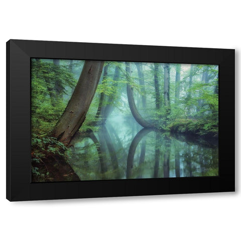 Moody Reflections Black Modern Wood Framed Art Print by Podt, Martin