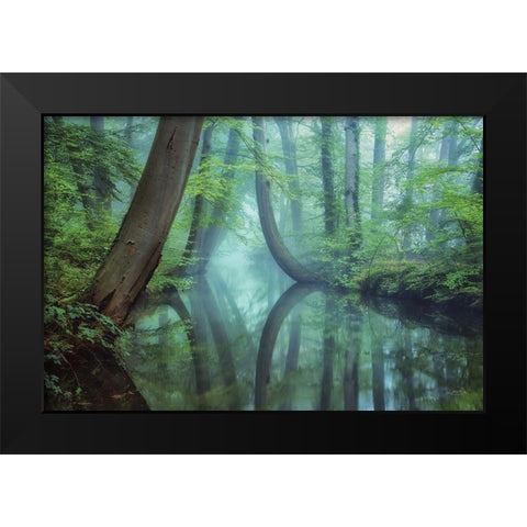 Moody Reflections Black Modern Wood Framed Art Print by Podt, Martin