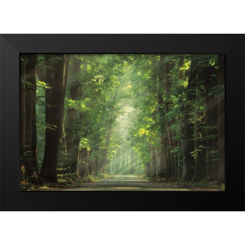 Bright Lights Black Modern Wood Framed Art Print by Podt, Martin