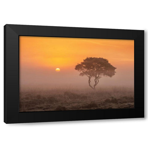 Enjoy the Silence I Black Modern Wood Framed Art Print with Double Matting by Podt, Martin