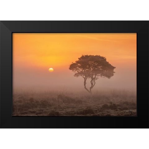Enjoy the Silence I Black Modern Wood Framed Art Print by Podt, Martin