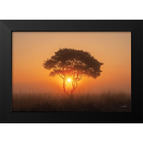 Enjoy the Silence III Black Modern Wood Framed Art Print by Podt, Martin