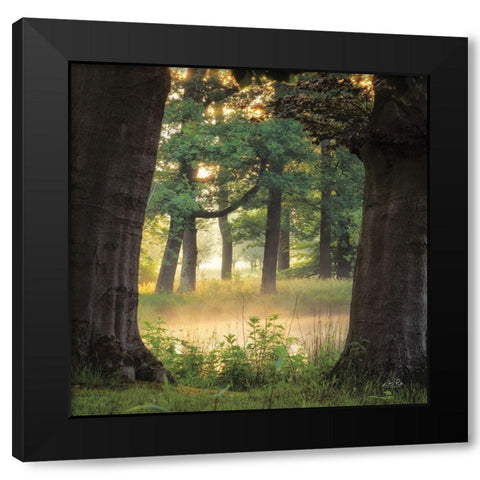 Tree Frame Black Modern Wood Framed Art Print by Podt, Martin