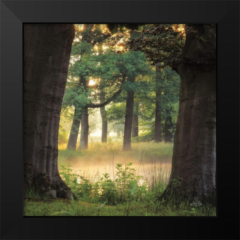 Tree Frame Black Modern Wood Framed Art Print by Podt, Martin