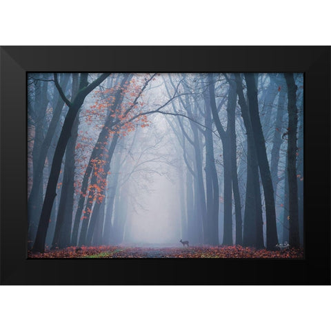 Oh Deer! Black Modern Wood Framed Art Print by Podt, Martin