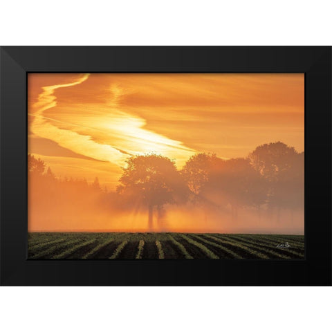 Morning Glory Black Modern Wood Framed Art Print by Podt, Martin