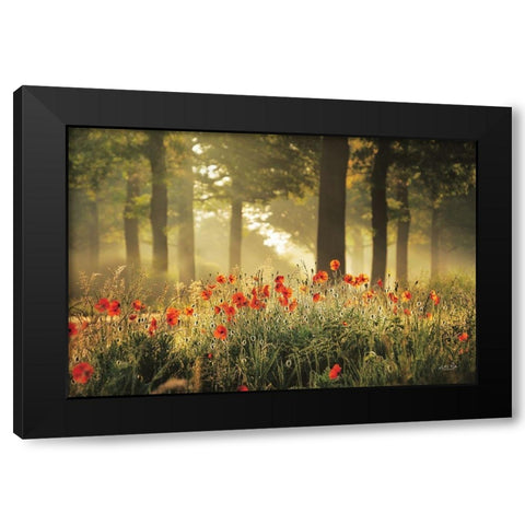 The Poppy Forest Black Modern Wood Framed Art Print by Podt, Martin