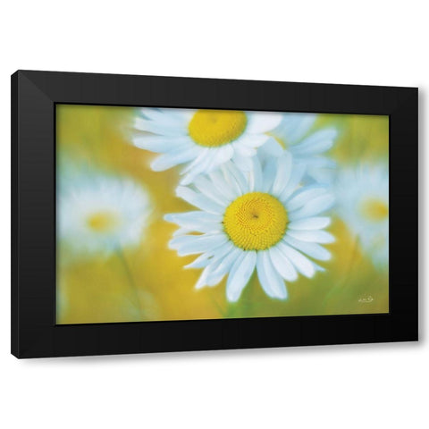 Daisies Black Modern Wood Framed Art Print with Double Matting by Podt, Martin