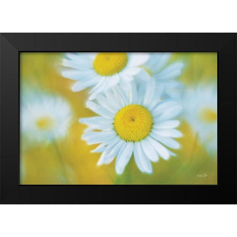 Daisies Black Modern Wood Framed Art Print by Podt, Martin