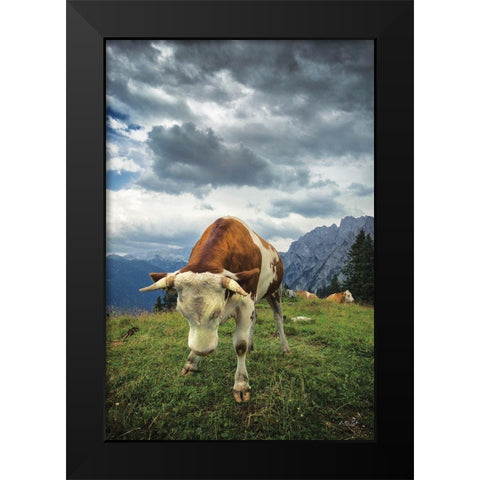 Bowing Cow Black Modern Wood Framed Art Print by Podt, Martin