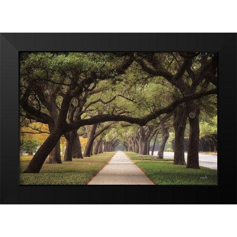 Alley of Live Oaks Black Modern Wood Framed Art Print by Podt, Martin