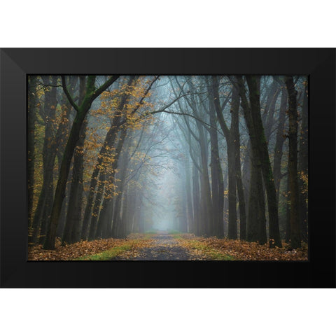 Moody Autumn   Black Modern Wood Framed Art Print by Podt, Martin