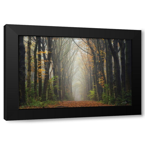 The Unknown Road    Black Modern Wood Framed Art Print with Double Matting by Podt, Martin