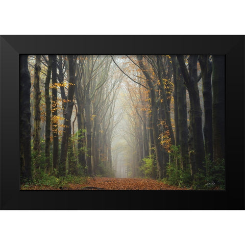 The Unknown Road    Black Modern Wood Framed Art Print by Podt, Martin