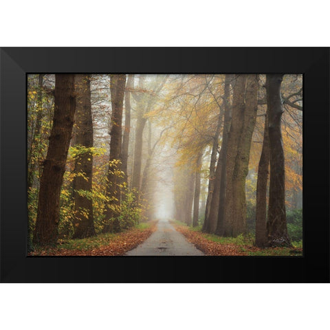 Autumnal Moodiness    Black Modern Wood Framed Art Print by Podt, Martin