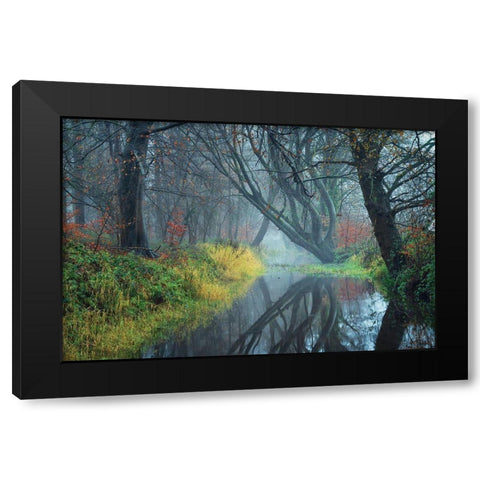 The Creek    Black Modern Wood Framed Art Print with Double Matting by Podt, Martin