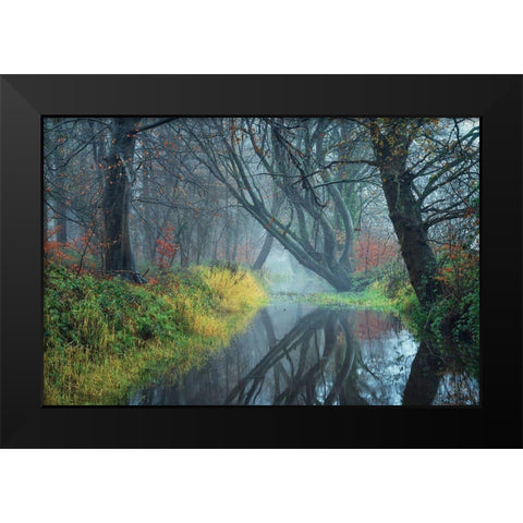 The Creek    Black Modern Wood Framed Art Print by Podt, Martin