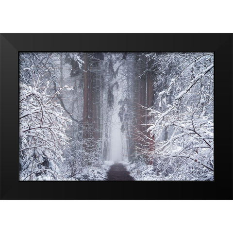 White Vignette  Black Modern Wood Framed Art Print by Podt, Martin