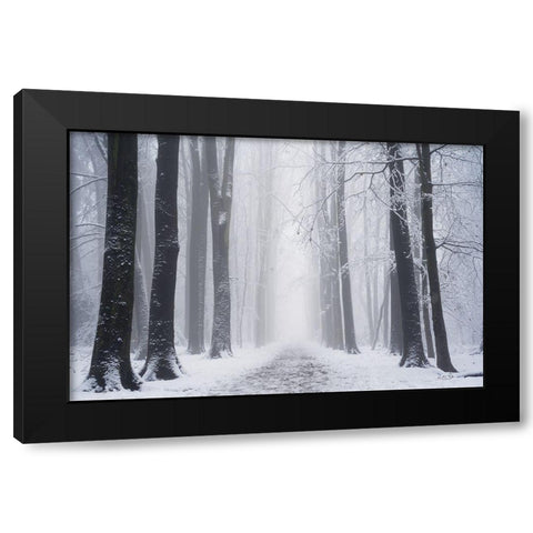 Whiteout  Black Modern Wood Framed Art Print by Podt, Martin