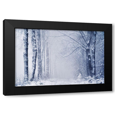 Alone in the World Black Modern Wood Framed Art Print by Podt, Martin