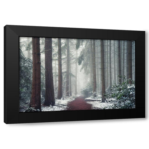 Red Carpet Black Modern Wood Framed Art Print with Double Matting by Podt, Martin