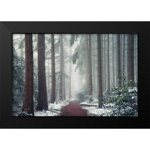 Red Carpet Black Modern Wood Framed Art Print by Podt, Martin