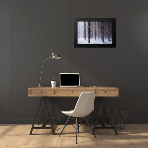 Red Woods Black Modern Wood Framed Art Print by Podt, Martin