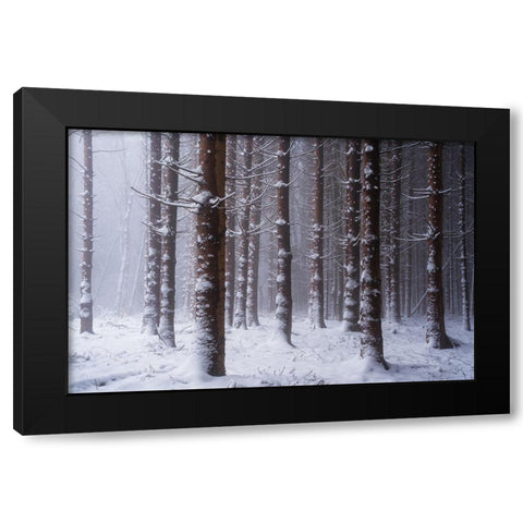 Red Woods Black Modern Wood Framed Art Print by Podt, Martin