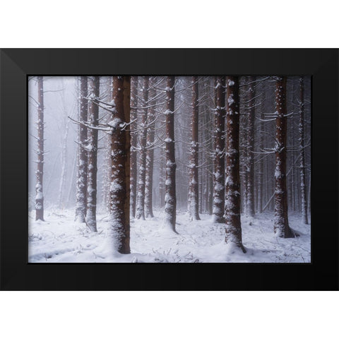 Red Woods Black Modern Wood Framed Art Print by Podt, Martin