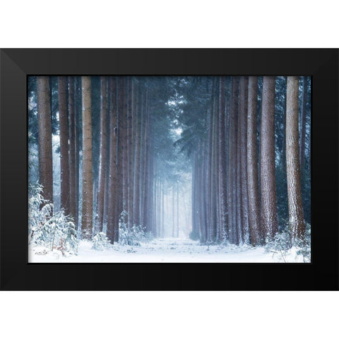 Polar Winter Black Modern Wood Framed Art Print by Podt, Martin