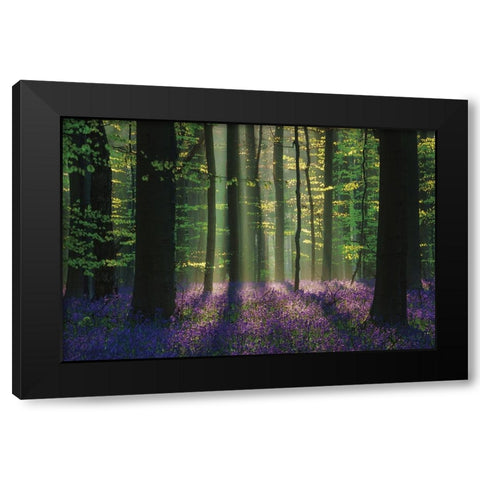 Perfect Spring Scene Black Modern Wood Framed Art Print by Podt, Martin