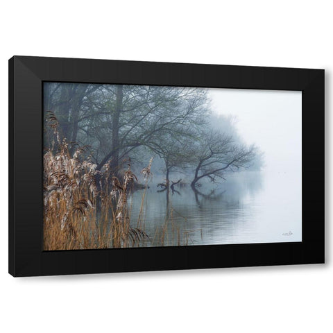 In the Swamps Black Modern Wood Framed Art Print with Double Matting by Podt, Martin