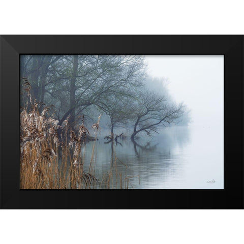 In the Swamps Black Modern Wood Framed Art Print by Podt, Martin