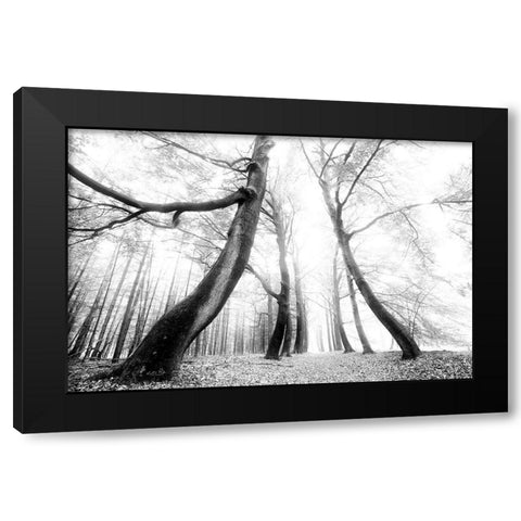 The Gatekeeper   Black Modern Wood Framed Art Print with Double Matting by Podt, Martin