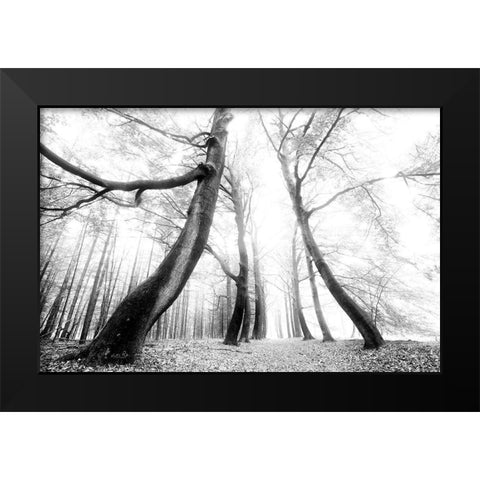 The Gatekeeper   Black Modern Wood Framed Art Print by Podt, Martin