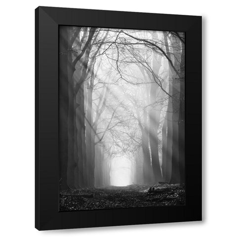 Sunray Path   Black Modern Wood Framed Art Print by Podt, Martin