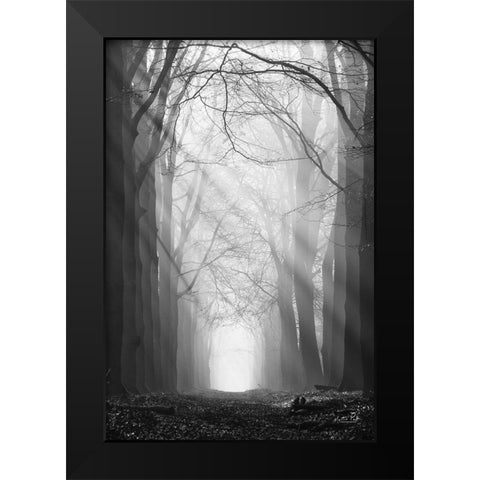 Sunray Path   Black Modern Wood Framed Art Print by Podt, Martin