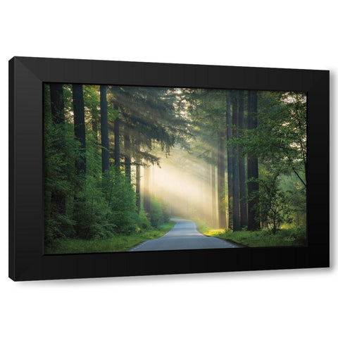 The Road Black Modern Wood Framed Art Print by Podt, Martin