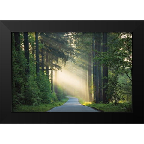 The Road Black Modern Wood Framed Art Print by Podt, Martin