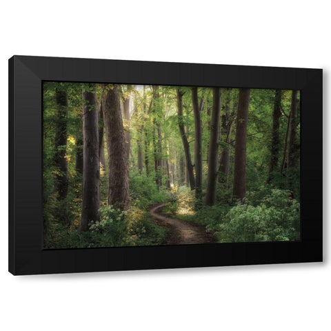 Spring Chaos Black Modern Wood Framed Art Print by Podt, Martin