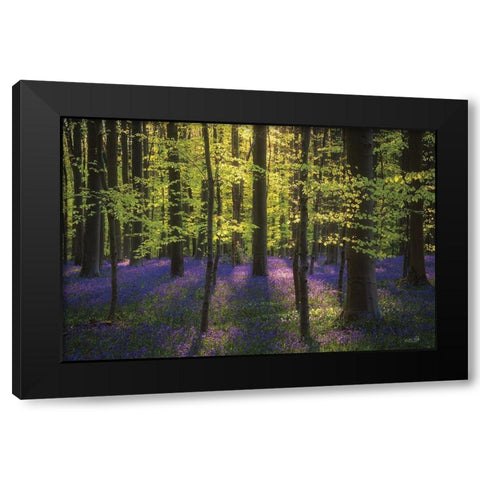 Fresh Green and Bluebells Black Modern Wood Framed Art Print with Double Matting by Podt, Martin