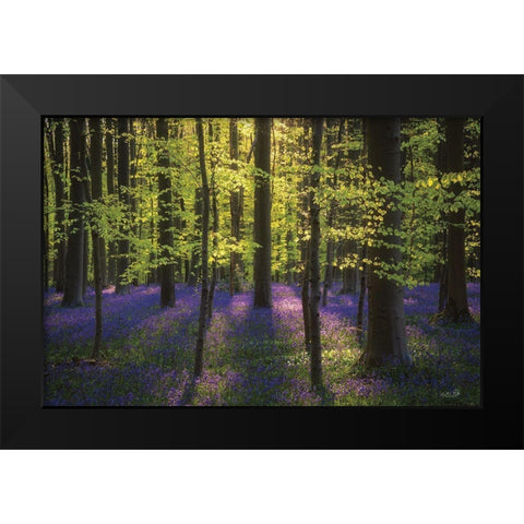 Fresh Green and Bluebells Black Modern Wood Framed Art Print by Podt, Martin