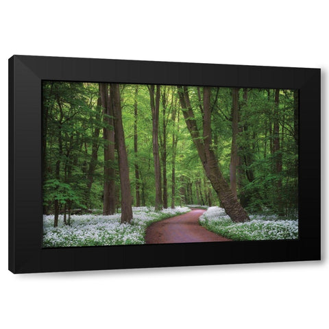 Fragrant Road Black Modern Wood Framed Art Print by Podt, Martin