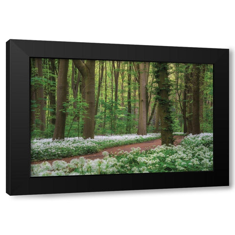 White Carpet Black Modern Wood Framed Art Print by Podt, Martin