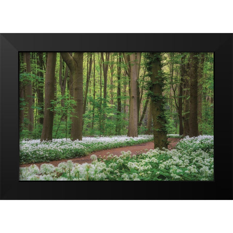 White Carpet Black Modern Wood Framed Art Print by Podt, Martin