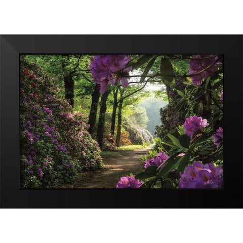 Rhododendron Lane Black Modern Wood Framed Art Print by Podt, Martin
