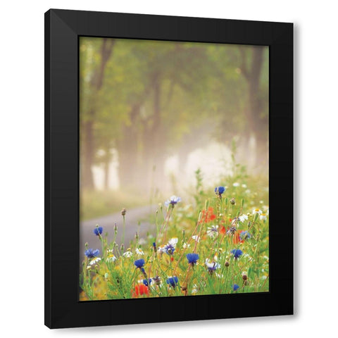 Bee Pleasure Black Modern Wood Framed Art Print by Podt, Martin